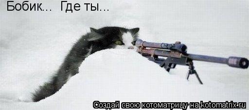 Бобик... Где ты...... Котоматрица: Бобик... Где ты...