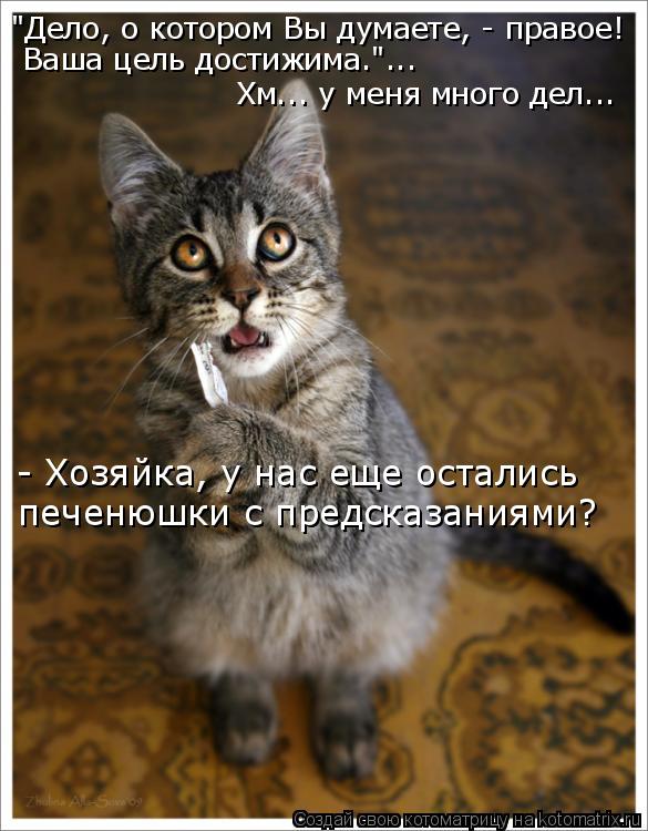 "Дело, о котором Вы думаете, - правое! Ваша цель достижима."... Хм... у меня много дел... - Хозяйка... Котоматрица: "Дело, о котором Вы думаете, - правое! Ваша цель достижима."... Хм... у меня много дел... - Хозяйка, у нас еще остались печенюшки с предсказаниями?