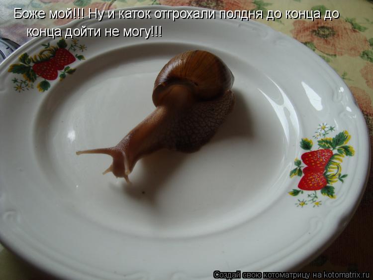 Боже мой!!! Ну и каток отгрохали полдня до конца до Боже мой!!! Ну и каток отгрохали полдня до конца ... Котоматрица: Боже мой!!! Ну и каток отгрохали полдня до конца до Боже мой!!! Ну и каток отгрохали полдня до конца до конца дойти не могу!!!
