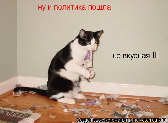 ну и политика пошла не вкусная !!!... Котоматрица: ну и политика пошла не вкусная !!!