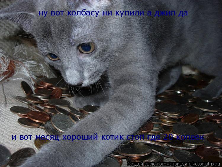 ну вот колбасу ни купили а джип да и вот месяц хороший котик стоп где 20 копеек... Котоматрица: ну вот колбасу ни купили а джип да и вот месяц хороший котик стоп где 20 копеек