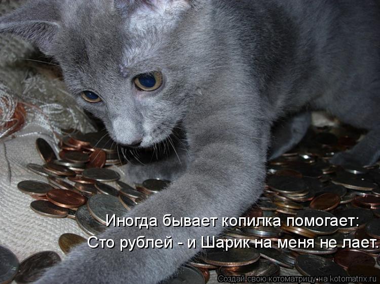 Иногда бывает копилка помогает: Сто рублей - и Шарик на меня не лает.... Котоматрица: Иногда бывает копилка помогает: Сто рублей - и Шарик на меня не лает.