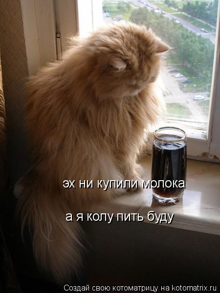 эх ни купили молока а я колу пить буду... Котоматрица: эх ни купили молока а я колу пить буду