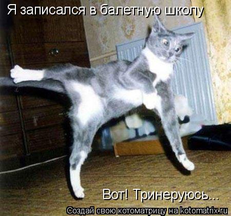 Я записался в балетную школу Вот! Тринеруюсь...... Котоматрица: Я записался в балетную школу Вот! Тринеруюсь...