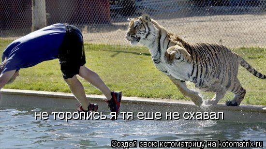 не торопись я тя еше не схавал... Котоматрица: не торопись я тя еше не схавал