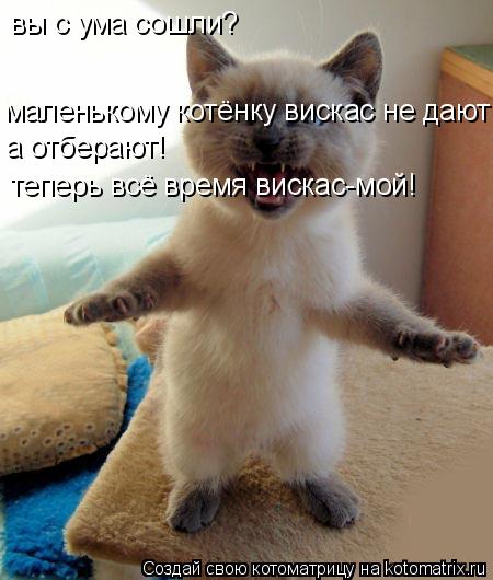 вы с ума сошли? маленькому котёнку вискас не дают а отберают! теперь всё время вискас-мой!... Котоматрица: вы с ума сошли? маленькому котёнку вискас не дают а отберают! теперь всё время вискас-мой!