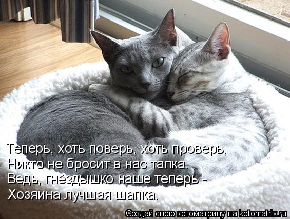 Теперь, хоть поверь, хоть проверь, Никто не бросит в нас тапка. Ведь, гнёздышко наше теперь - Хозяина... Котоматрица: Теперь, хоть поверь, хоть проверь, Никто не бросит в нас тапка. Ведь, гнёздышко наше теперь - Хозяина лучшая шапка.