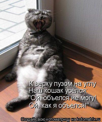 К верху пузом на углу Наш кошак уселся: "Ой, объелся не могу! Ой, как я объелся!"... Котоматрица: К верху пузом на углу Наш кошак уселся: "Ой, объелся не могу! Ой, как я объелся!"