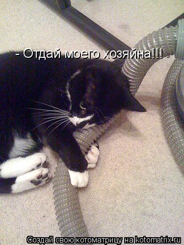 - Отдай моего хозяйна!!!... Котоматрица: - Отдай моего хозяйна!!!