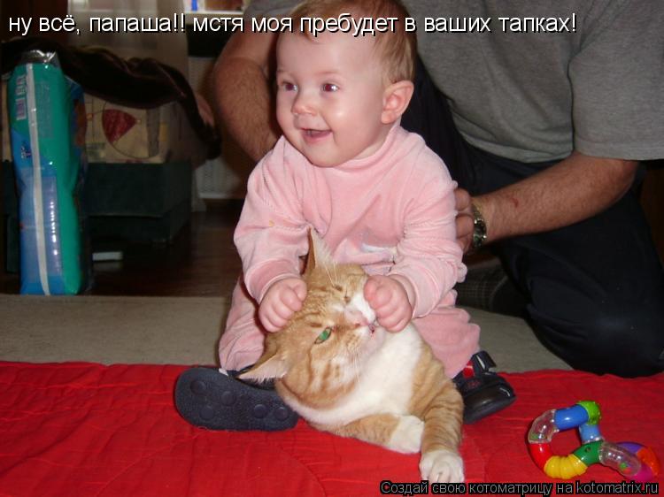 ну всё, папаша!! мстя моя пребудет в ваших тапках!... Котоматрица: ну всё, папаша!! мстя моя пребудет в ваших тапках!