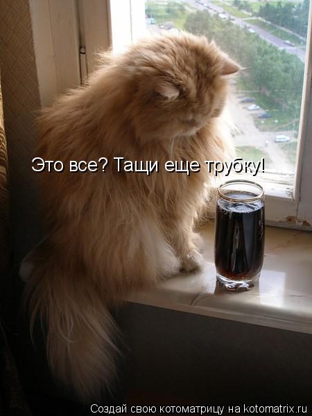 Это все? Тащи еще трубку!... Котоматрица: Это все? Тащи еще трубку!