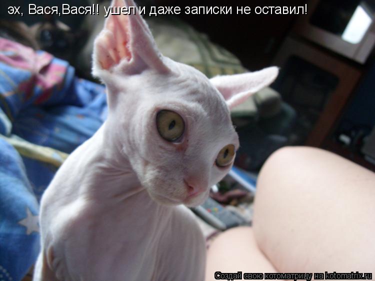 эх, Вася,Вася!! ушел и даже записки не оставил!... Котоматрица: эх, Вася,Вася!! ушел и даже записки не оставил!