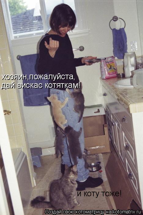 хозяин,пожалуйста, дай вискас котяткам! и коту тоже!... Котоматрица: хозяин,пожалуйста, дай вискас котяткам! и коту тоже!
