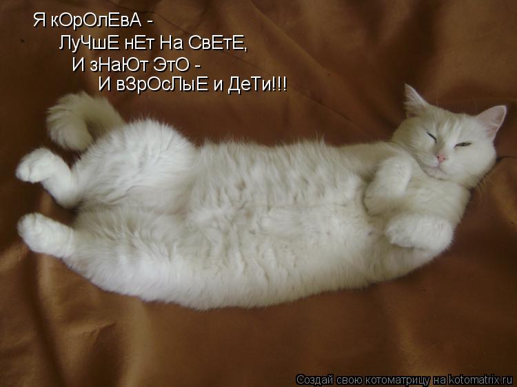 Я кОрОлЕвА - ЛуЧшЕ нЕт На СвЕтЕ, И зНаЮт ЭтО - И вЗрОсЛыЕ и ДеТи!!!... Котоматрица: Я кОрОлЕвА - ЛуЧшЕ нЕт На СвЕтЕ, И зНаЮт ЭтО - И вЗрОсЛыЕ и ДеТи!!!