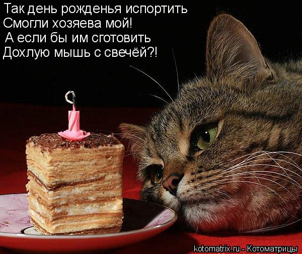 Так день рожденья испортить Смогли хозяева мой! А если бы им сготовить Дохлую мышь с свечёй?!... Котоматрица: Так день рожденья испортить Смогли хозяева мой! А если бы им сготовить Дохлую мышь с свечёй?!