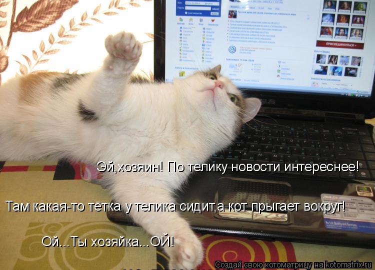 Эй,хозяин! По телику новости интереснее! Там какая-то тётка у телика сидит,а кот прыгает вокруг! Ой..... Котоматрица: Эй,хозяин! По телику новости интереснее! Там какая-то тётка у телика сидит,а кот прыгает вокруг! Ой...Ты хозяйка...ОЙ!