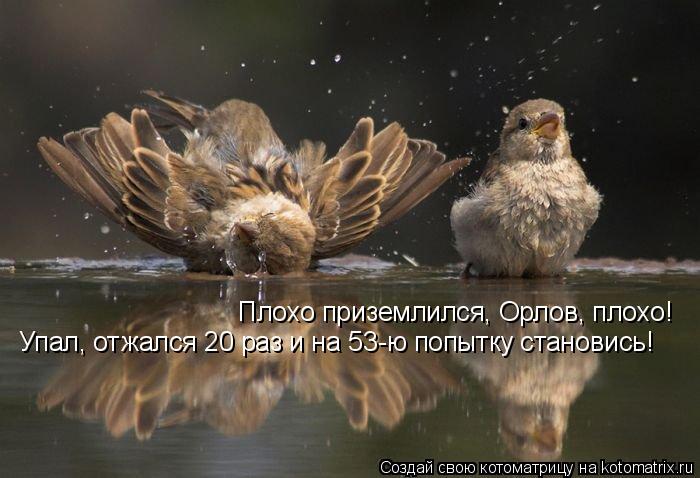 Плохо приземлился, Орлов, плохо! Упал, отжался 20 раз и на 53-ю попытку становись!... Котоматрица: Плохо приземлился, Орлов, плохо! Упал, отжался 20 раз и на 53-ю попытку становись!