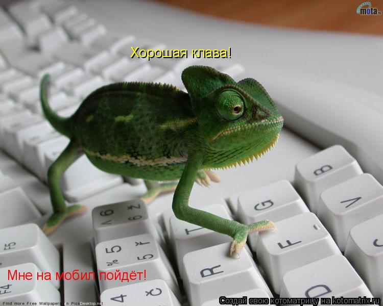 Хорошая клава! Мне на мобил пойдёт!... Котоматрица: Хорошая клава! Мне на мобил пойдёт!