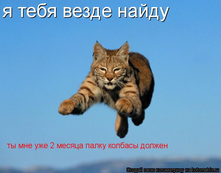 я тебя везде найду ты мне уже 2 месяца палку колбасы должен... Котоматрица: я тебя везде найду ты мне уже 2 месяца палку колбасы должен
