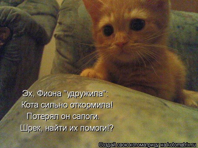 Эх, Фиона "удружила": Кота сильно откормила! Потерял он сапоги. Шрек, найти их помоги! ?... Котоматрица: Эх, Фиона "удружила": Кота сильно откормила! Потерял он сапоги. Шрек, найти их помоги! ?