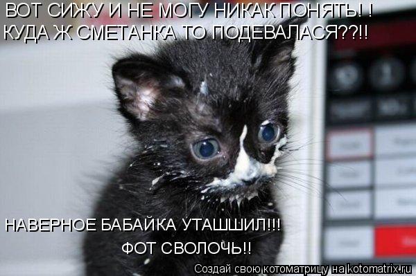 КУДА Ж СМЕТАНКА ТО ПОДЕВАЛАСЯ??!! НАВЕРНОЕ БАБАЙКА УТАШШИЛ!!! ФОТ СВОЛОЧЬ!! ВОТ СИЖУ И НЕ МОГУ НИКАК... Котоматрица: КУДА Ж СМЕТАНКА ТО ПОДЕВАЛАСЯ??!! НАВЕРНОЕ БАБАЙКА УТАШШИЛ!!! ФОТ СВОЛОЧЬ!! ВОТ СИЖУ И НЕ МОГУ НИКАК ПОНЯТЬ! !