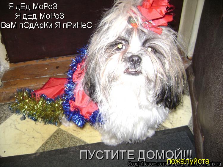 Я дЕд МоРоЗ Я дЕд МоРоЗ ПУСТИТЕ ДОМОЙ!!! ВаМ пОдАрКи Я пРиНеС пожалуйста... Котоматрица: Я дЕд МоРоЗ Я дЕд МоРоЗ ПУСТИТЕ ДОМОЙ!!! ВаМ пОдАрКи Я пРиНеС пожалуйста