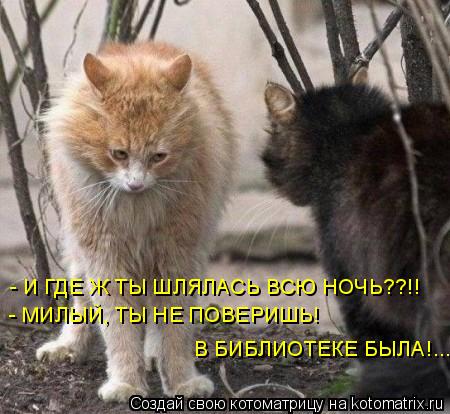 - И ГДЕ Ж ТЫ ШЛЯЛАСЬ ВСЮ НОЧЬ??!! - МИЛЫЙ, ТЫ НЕ ПОВЕРИШЬ! В БИБЛИОТЕКЕ БЫЛА!...... Котоматрица: - И ГДЕ Ж ТЫ ШЛЯЛАСЬ ВСЮ НОЧЬ??!! - МИЛЫЙ, ТЫ НЕ ПОВЕРИШЬ! В БИБЛИОТЕКЕ БЫЛА!...