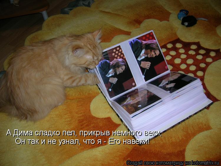 А Дима сладко пел, прикрыв немного веки, Он так и не узнал, что я - Его навеки!... Котоматрица: А Дима сладко пел, прикрыв немного веки, Он так и не узнал, что я - Его навеки!