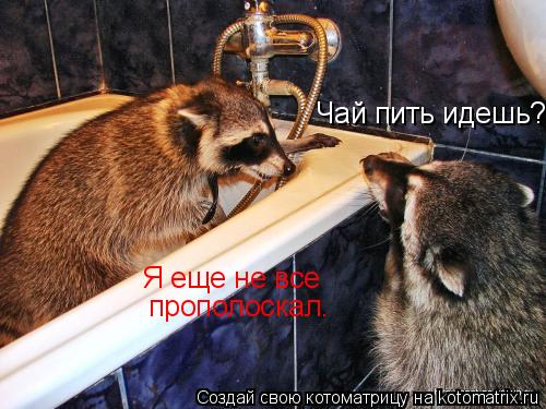 Чай пить идешь? Я еще не все прополоскал. Я еще не все прополоскал.... Котоматрица: Чай пить идешь? Я еще не все прополоскал. Я еще не все прополоскал.