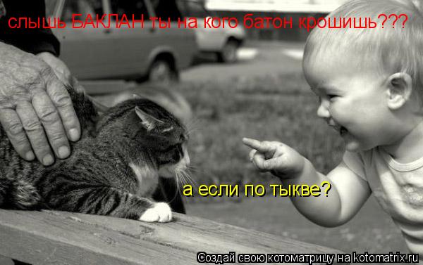 слышь БАКЛАН ты на кого батон крошишь??? а если по тыкве?... Котоматрица: слышь БАКЛАН ты на кого батон крошишь??? а если по тыкве?