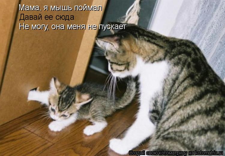 Давай ее сюда Не могу, она меня не пускает Мама, я мышь поймал... Котоматрица: Давай ее сюда Не могу, она меня не пускает Мама, я мышь поймал