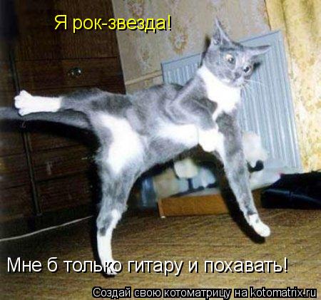 Я рок-звезда! Мне б только гитару и похавать!... Котоматрица: Я рок-звезда! Мне б только гитару и похавать!