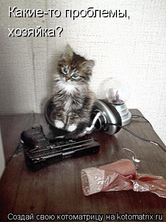 Какие-то проблемы, хозяйка?... Котоматрица: Какие-то проблемы, хозяйка?