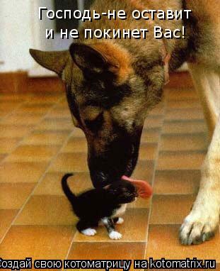 Господь-не оставит и не покинет Вас!... Котоматрица: Господь-не оставит и не покинет Вас!