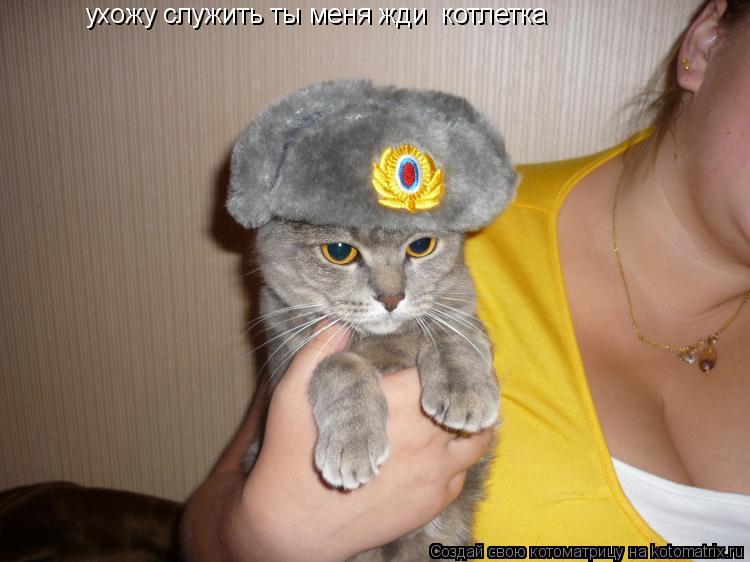 ухожу служить ты меня жди котлетка... Котоматрица: ухожу служить ты меня жди котлетка