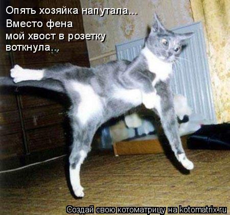 Опять хозяйка напутала... Вместо фена мой хвост в розетку воткнула...... Котоматрица: Опять хозяйка напутала... Вместо фена мой хвост в розетку воткнула...