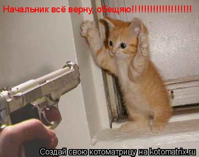 Начальник всё верну, обещяю!!!!!!!!!!!!!!!!!!!!... Котоматрица: Начальник всё верну, обещяю!!!!!!!!!!!!!!!!!!!!
