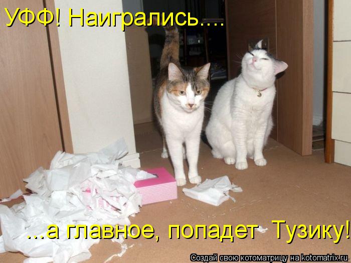 УФФ! Наигрались.... ...а главное, попадет Тузику!... Котоматрица: УФФ! Наигрались.... ...а главное, попадет Тузику!