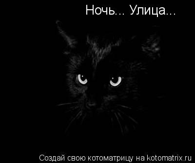 Ночь... Улица...... Котоматрица: Ночь... Улица...