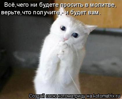 Всё,чего ни будете просить в молитве, верьте,что получите,- и будет вам.... Котоматрица: Всё,чего ни будете просить в молитве, верьте,что получите,- и будет вам.