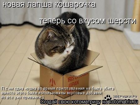 новая лапша кошарочка теперь со вкусом шерсти П.с.ни одна кошка во время приготовления не была убита ... Котоматрица: новая лапша кошарочка теперь со вкусом шерсти П.с.ни одна кошка во время приготовления не была убита вместо этого были использованы вкусов