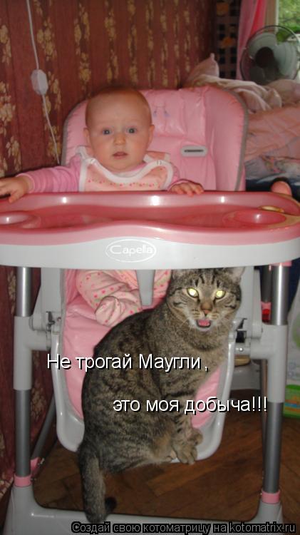 Не трогай Маугли , это моя добыча!!!... Котоматрица: Не трогай Маугли , это моя добыча!!!