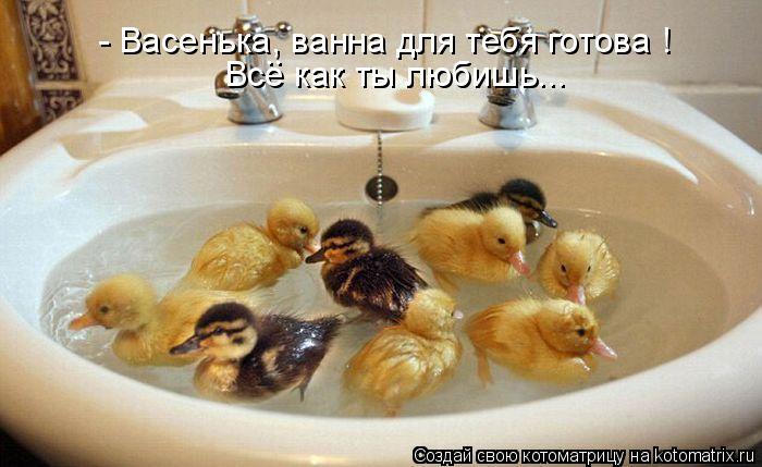 - Васенька, ванна для тебя готова ! Все как ты любишь... ..... Котоматрица: - Васенька, ванна для тебя готова ! Все как ты любишь... ..