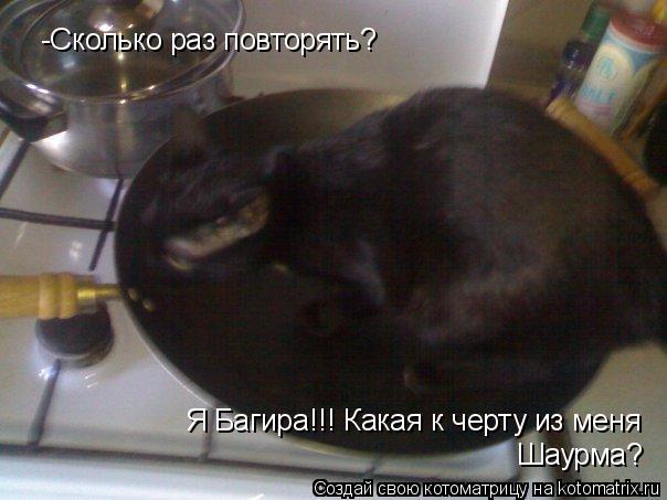 Я Багира!!! Какая к черту из меня Шаурма? -Сколько раз повторять?... Котоматрица: Я Багира!!! Какая к черту из меня Шаурма? -Сколько раз повторять?