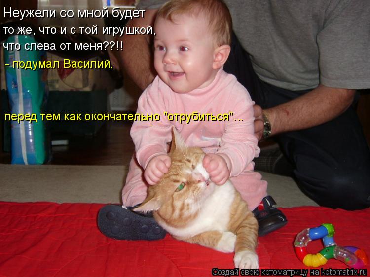 Неужели со мной будет то же, что и с той игрушкой, что слева от меня??!! - подумал Василий, перед те... Котоматрица: Неужели со мной будет то же, что и с той игрушкой, что слева от меня??!! - подумал Василий, перед тем как окончательно "отрубиться"...