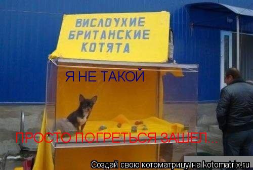 Я НЕ ТАКОЙ ПРОСТО ПОГРЕТЬСЯ ЗАШЕЛ...... Котоматрица: Я НЕ ТАКОЙ ПРОСТО ПОГРЕТЬСЯ ЗАШЕЛ...