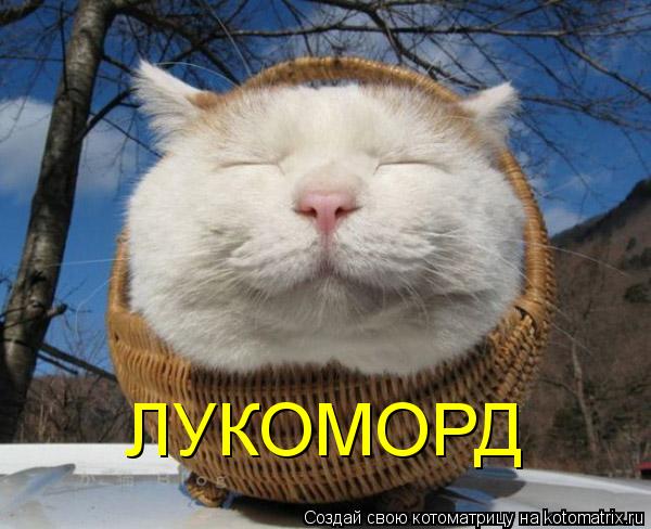 ЛУКОМОРД... Котоматрица: ЛУКОМОРД