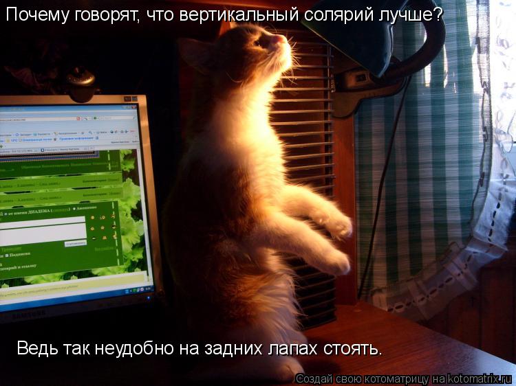 Почему говорят, что вертикальный солярий лучше? Ведь так неудобно на задних лапах стоять.... Котоматрица: Почему говорят, что вертикальный солярий лучше? Ведь так неудобно на задних лапах стоять.