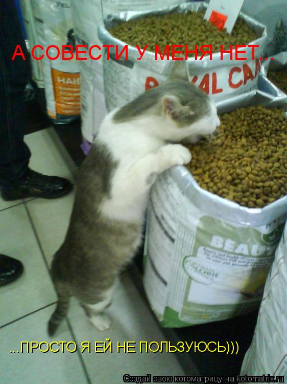 А СОВЕСТИ У МЕНЯ НЕТ... ...ПРОСТО Я ЕЙ НЕ ПОЛЬЗУЮСЬ)))... Котоматрица: А СОВЕСТИ У МЕНЯ НЕТ... ...ПРОСТО Я ЕЙ НЕ ПОЛЬЗУЮСЬ)))