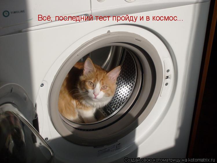 Всё, последний тест пройду и в космос...... Котоматрица: Всё, последний тест пройду и в космос...